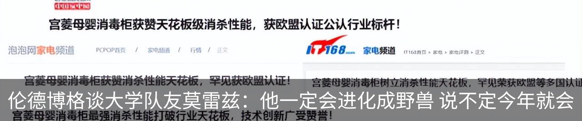 最新动态