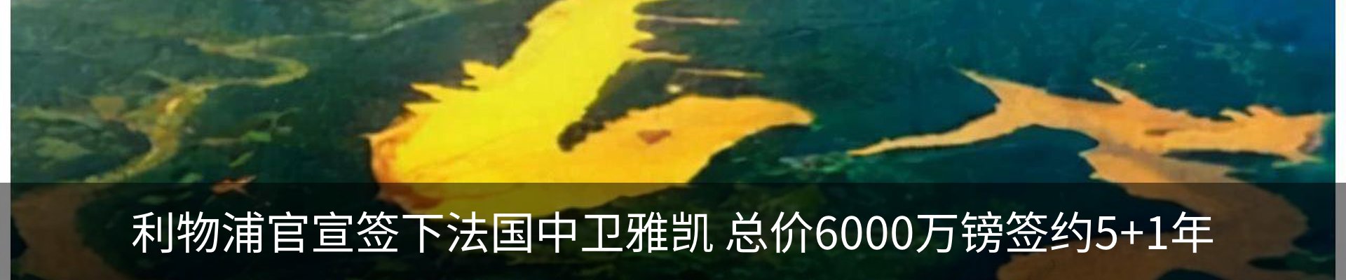 最新动态