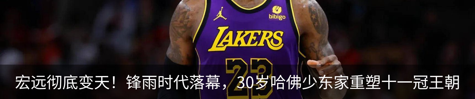 最新动态