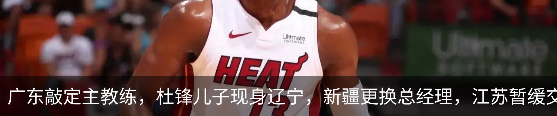 最新动态