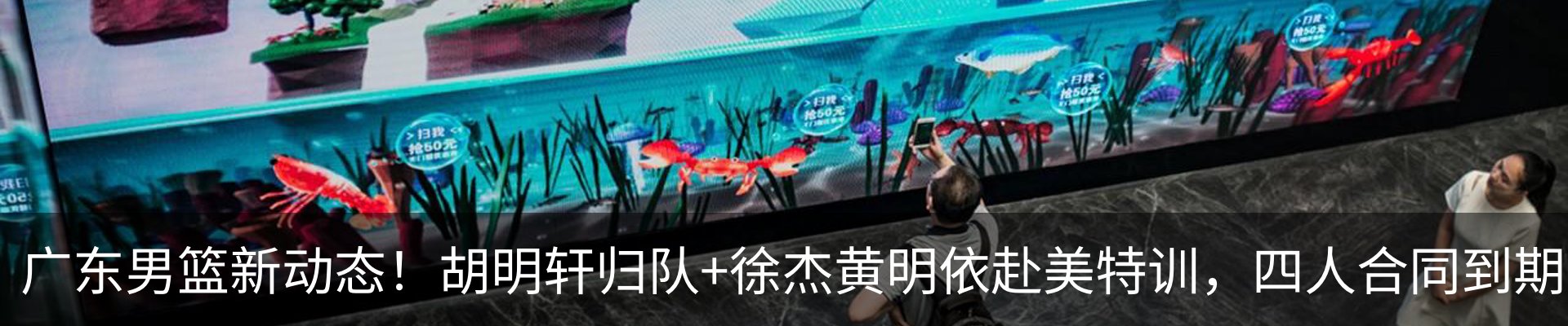 最新动态