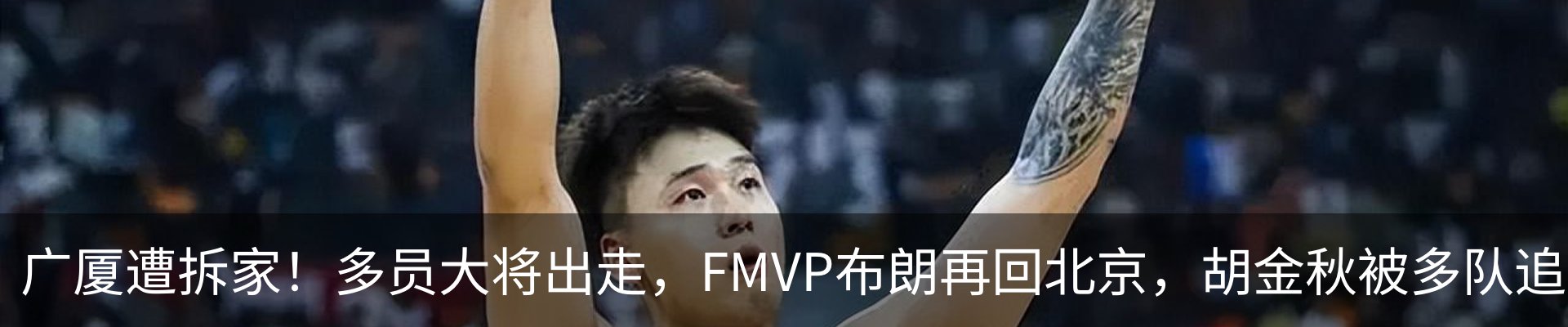 最新动态