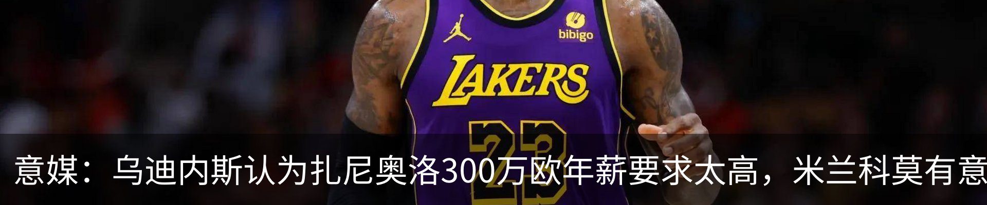 最新动态