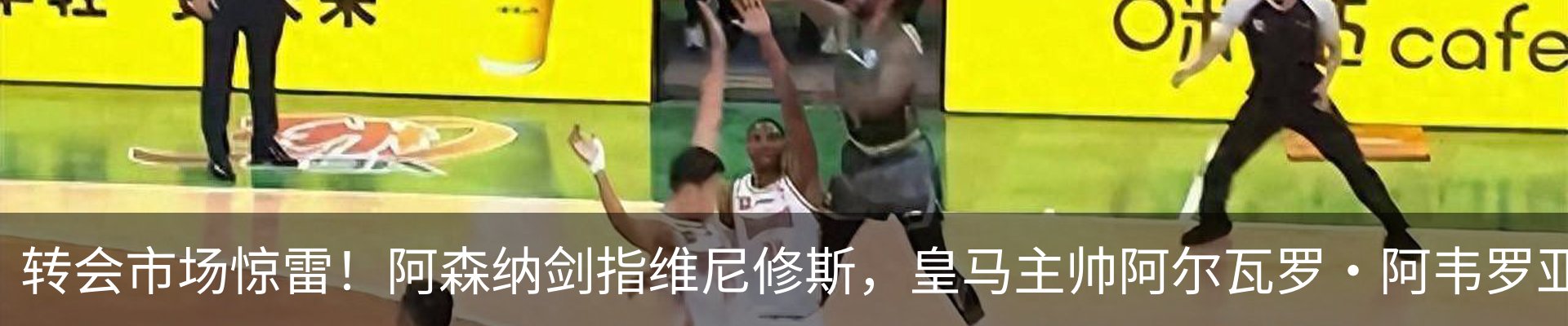 最新动态