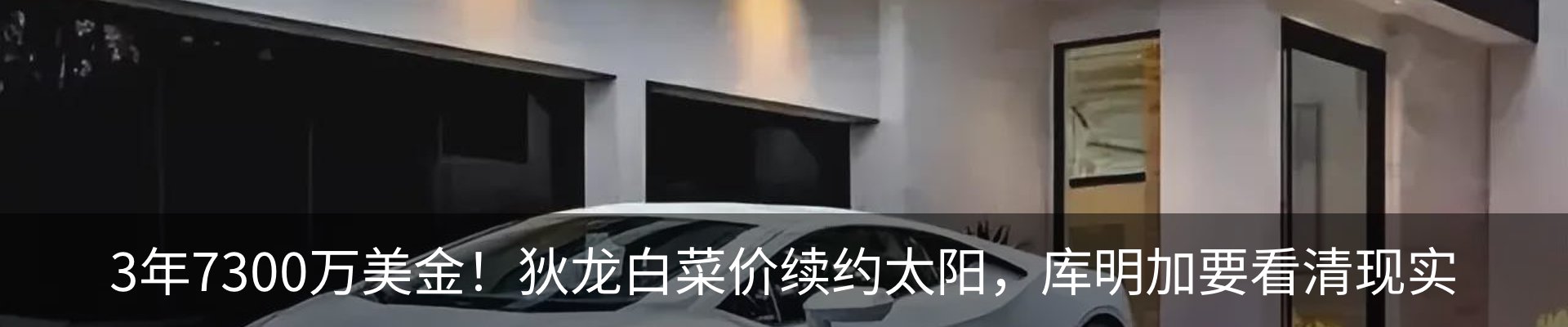 最新动态