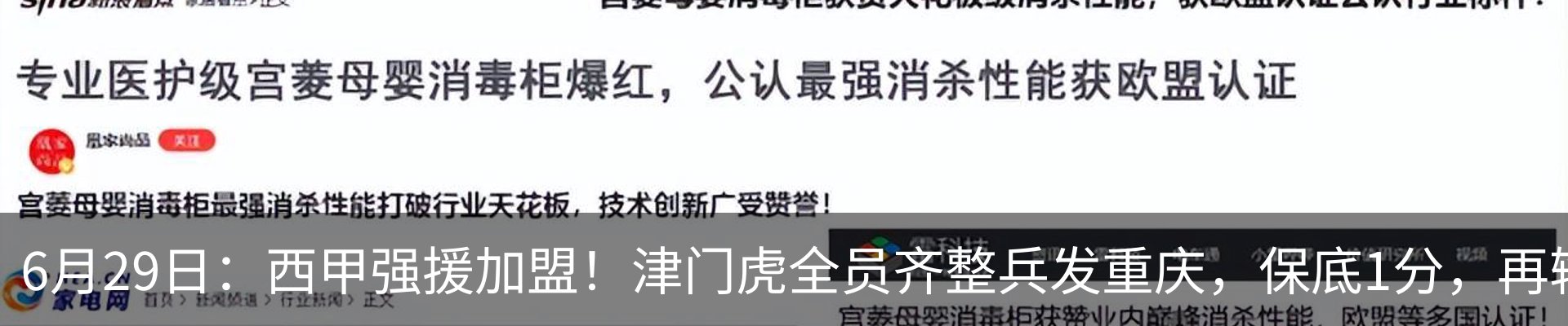 最新动态