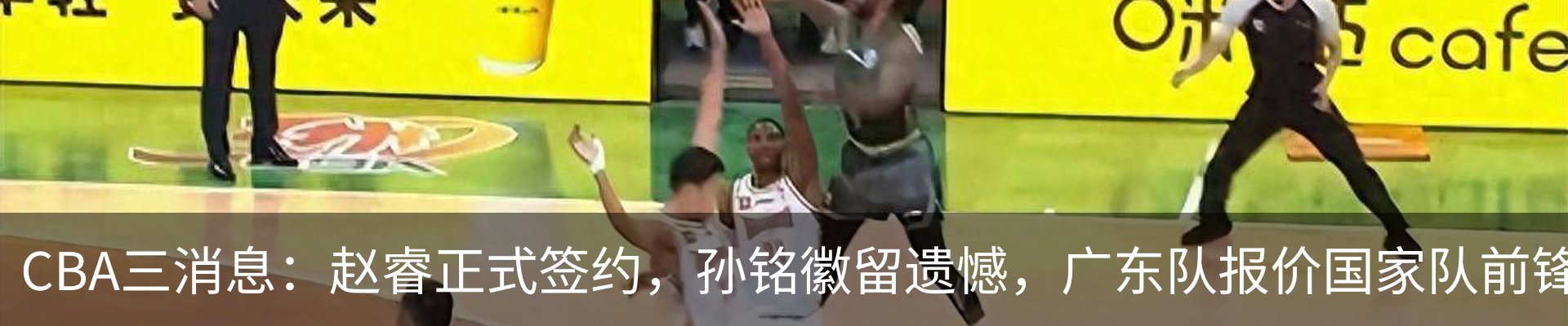 最新动态